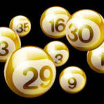 Togel Indobet
